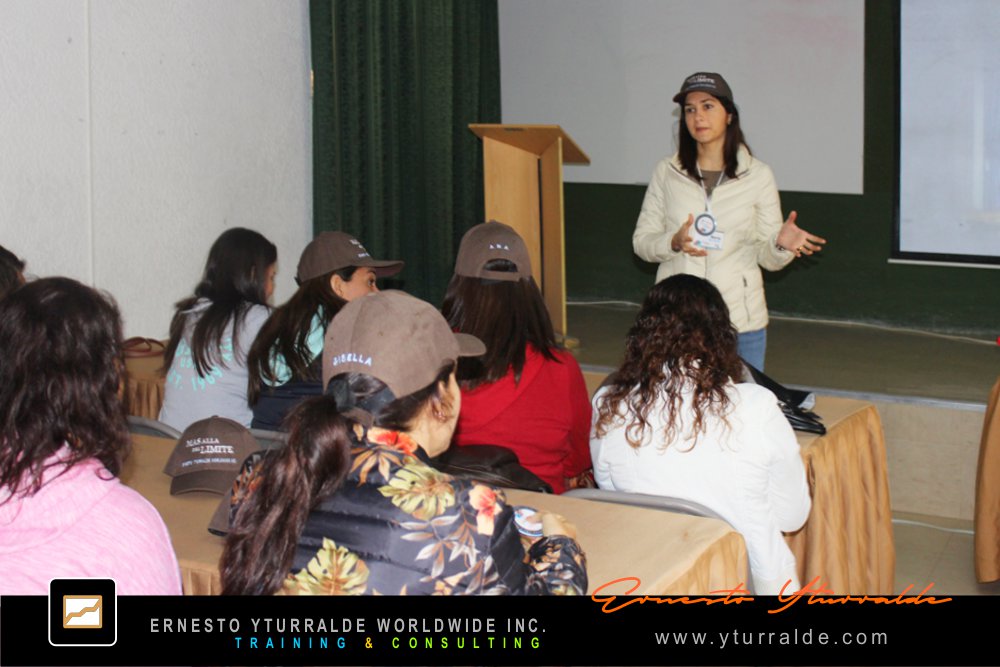 Team Building LATAM, El Caribe y USA Talleres de Cuerdas Bajas | Team Building Empresarial para el desarrollo de equipos de trabajo